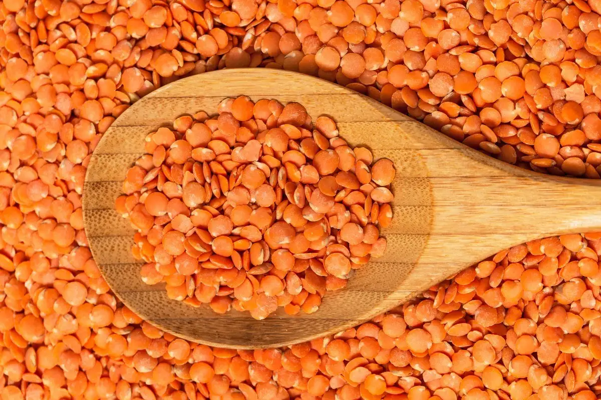 Lentils (Đậu lăng)