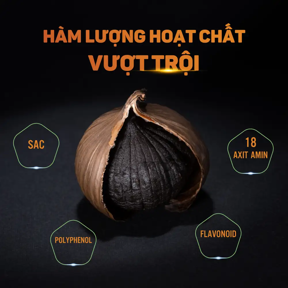 Tỏi đen cung cấp dưỡng chất và chất dinh dưỡng cần thiết cho cơ thể
